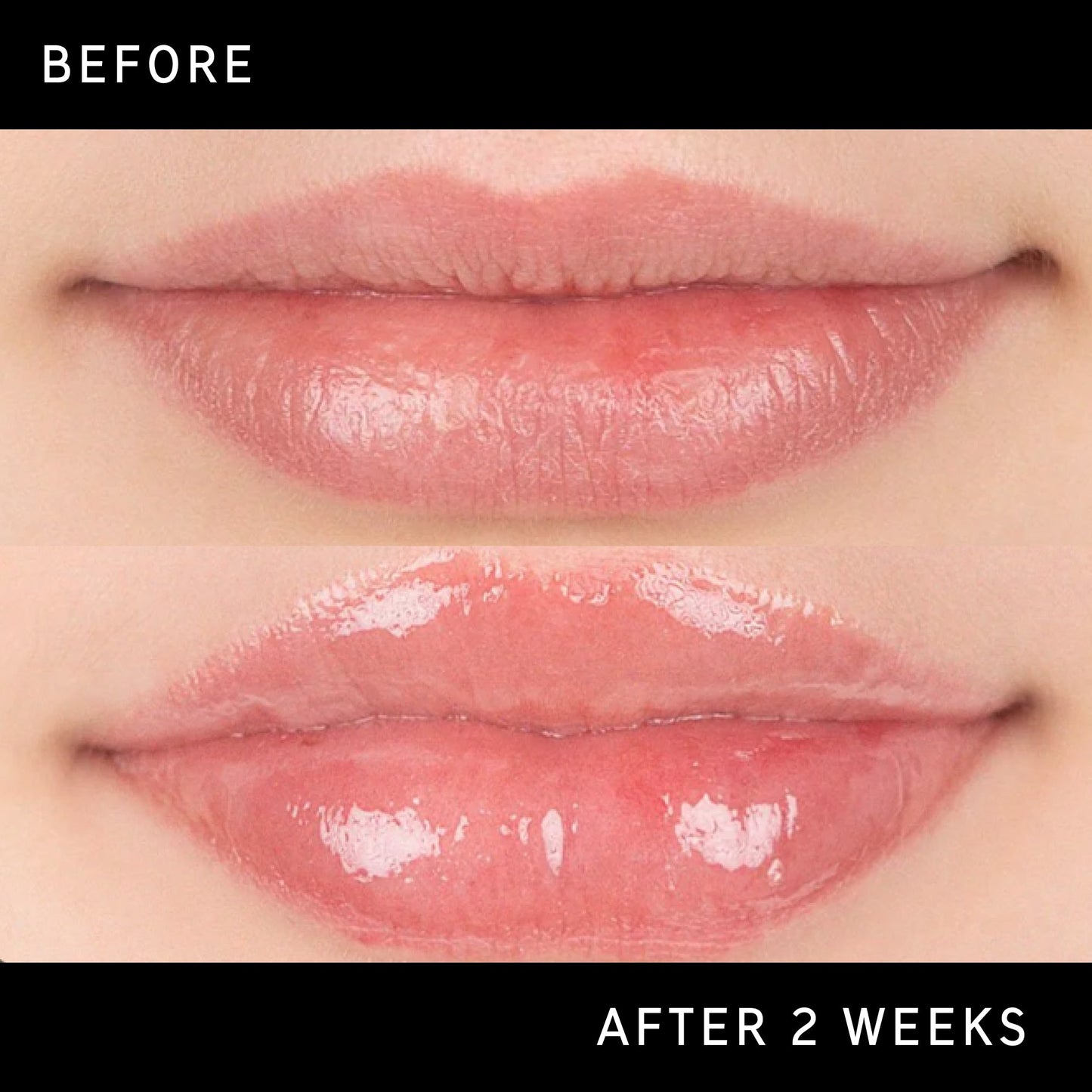 lip-plumping-duo-e3 DTC-Top15_Amends_Tripeptide-Lip_B_A.jpg